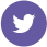 twitter logo