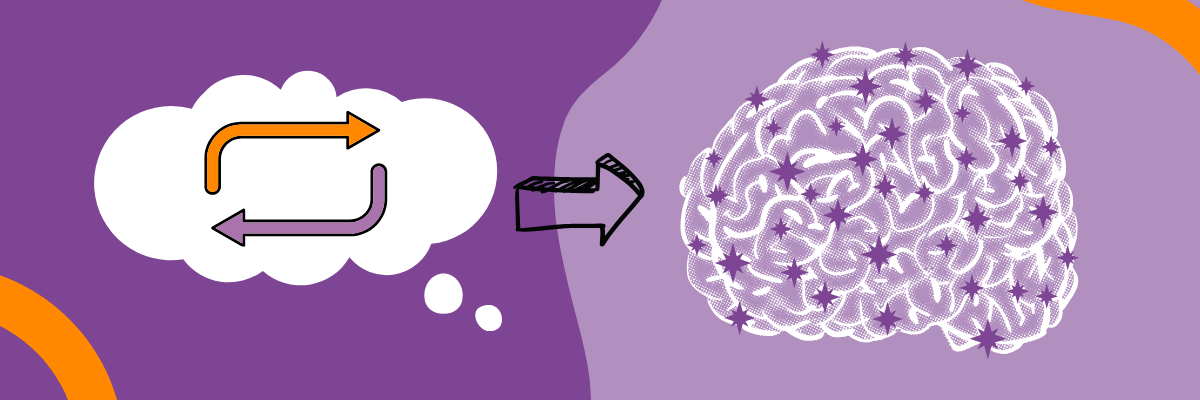 tmm brain2
